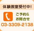 ̌tI@\񁕂₢@03-3390-2138